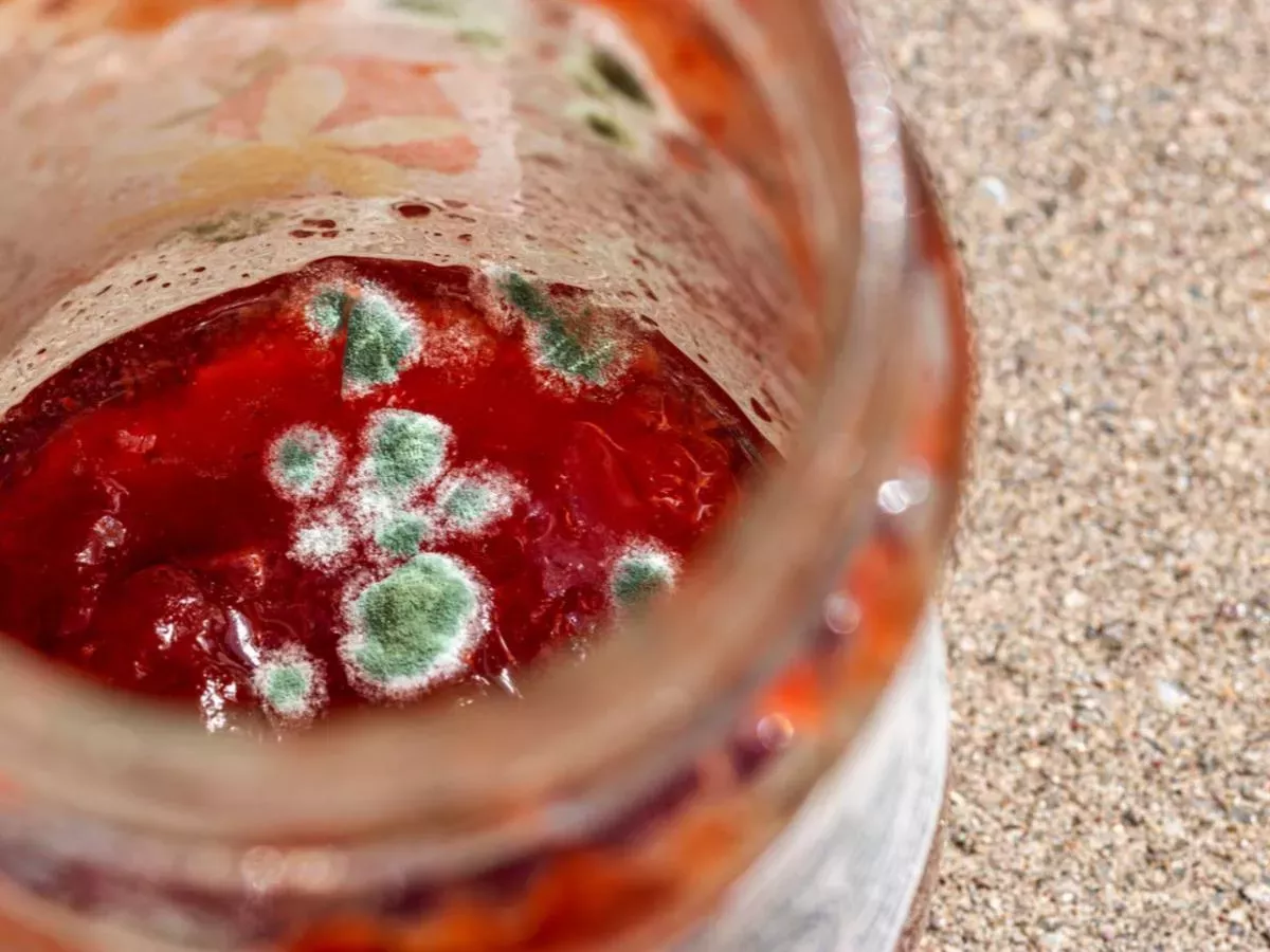 Marmelada ali ajvar potem, ko smo odstranili plesen