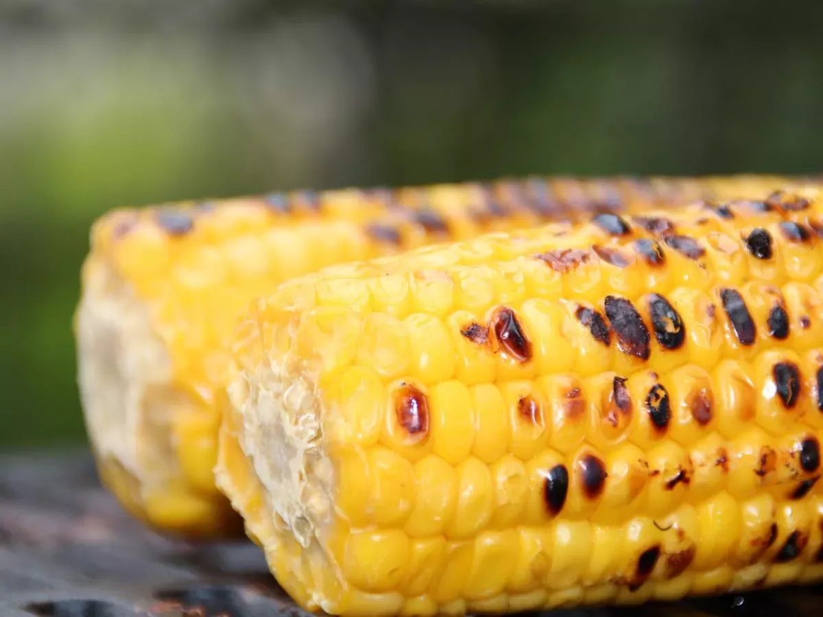 Zakaj je koruza tako zdrava?