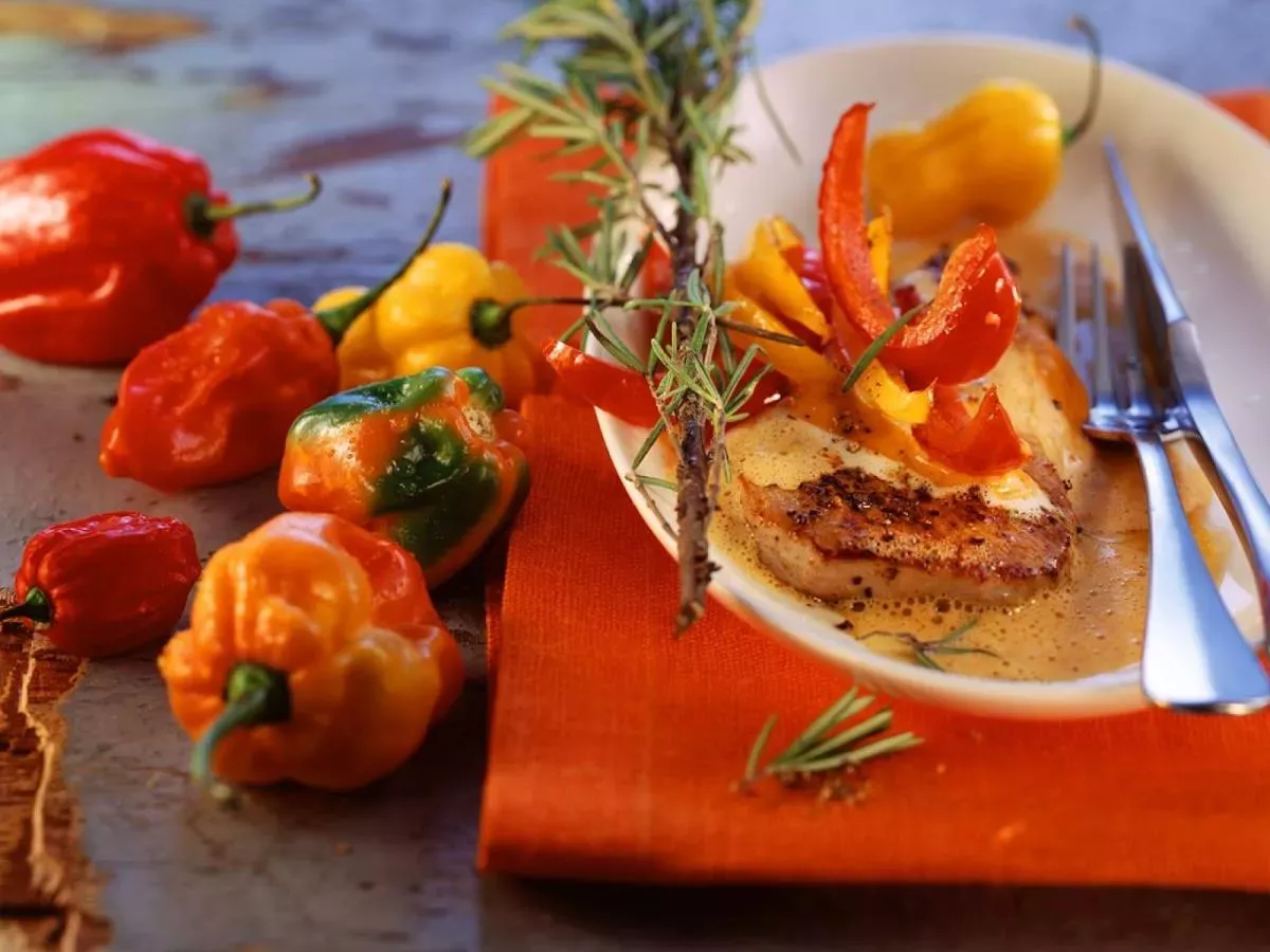 Paprika in rožmarin: okusna hrana in odlično zdravilo