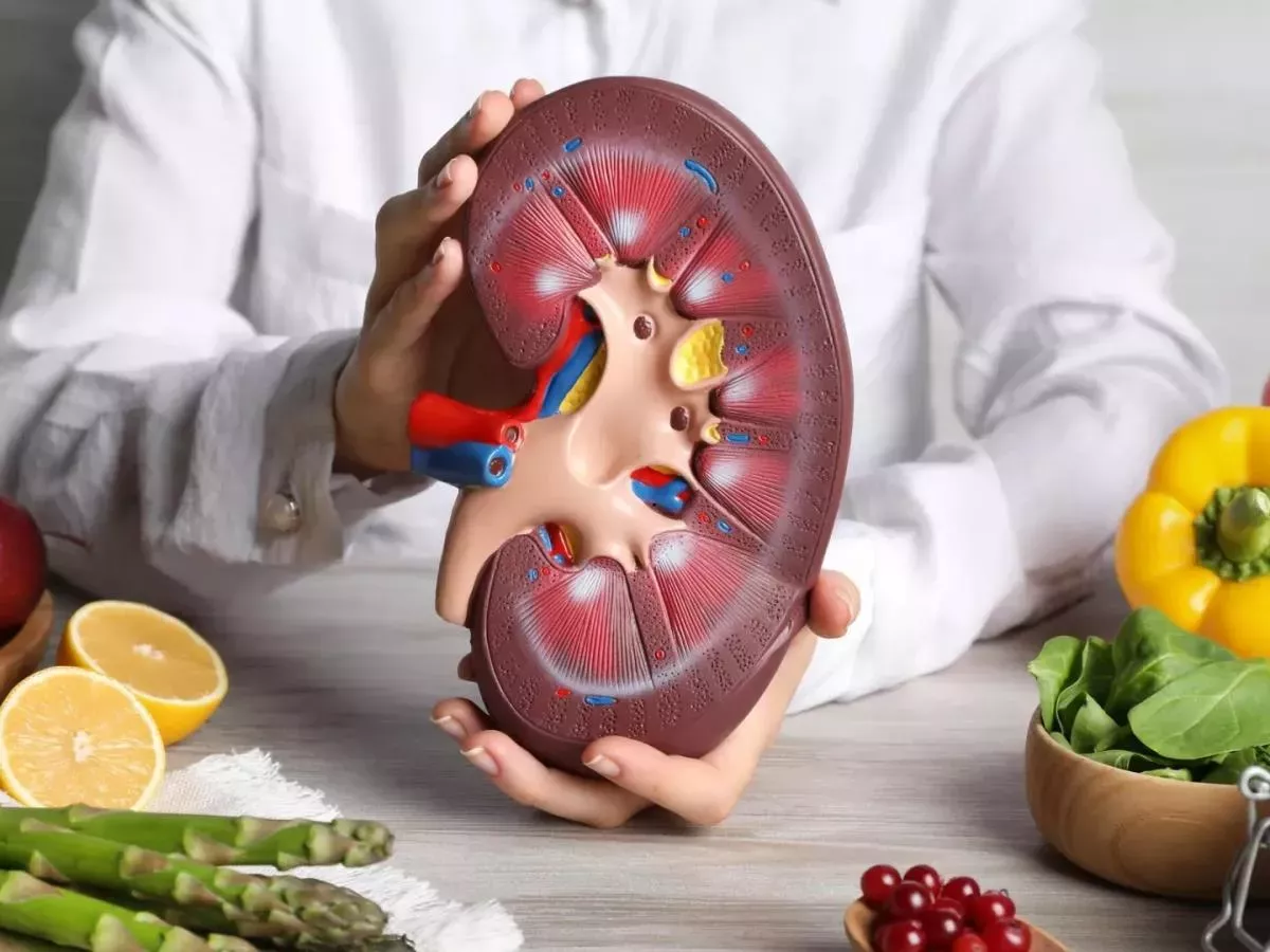 Vpliv sadja in zelenjave na zdravje ledvic