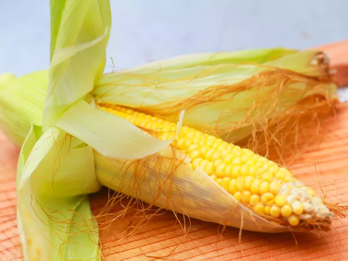 Kako dobro poznate zdravilne učinke zlatih nitk narave