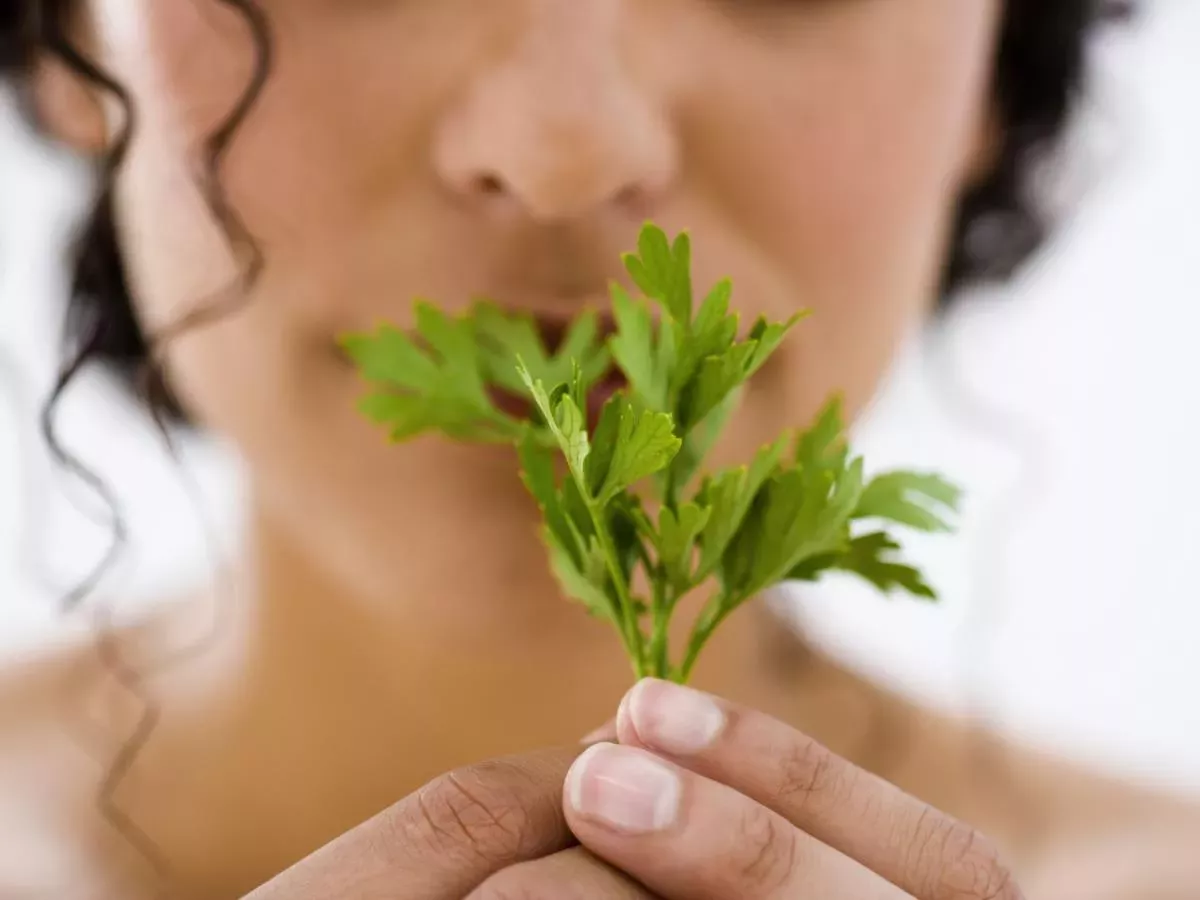 Zdravi holesterol in topi kilograme