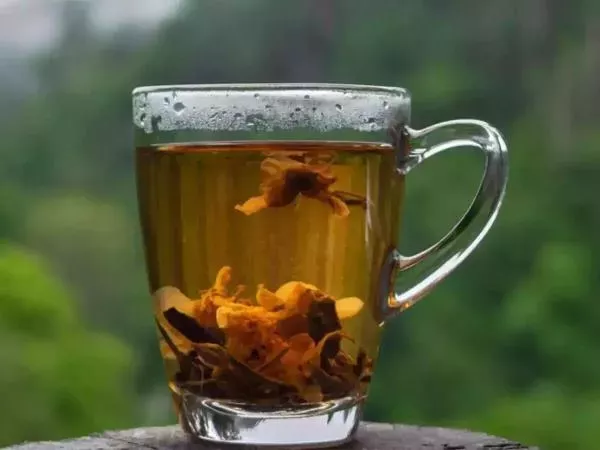 Ajurvedska voda z začimbami