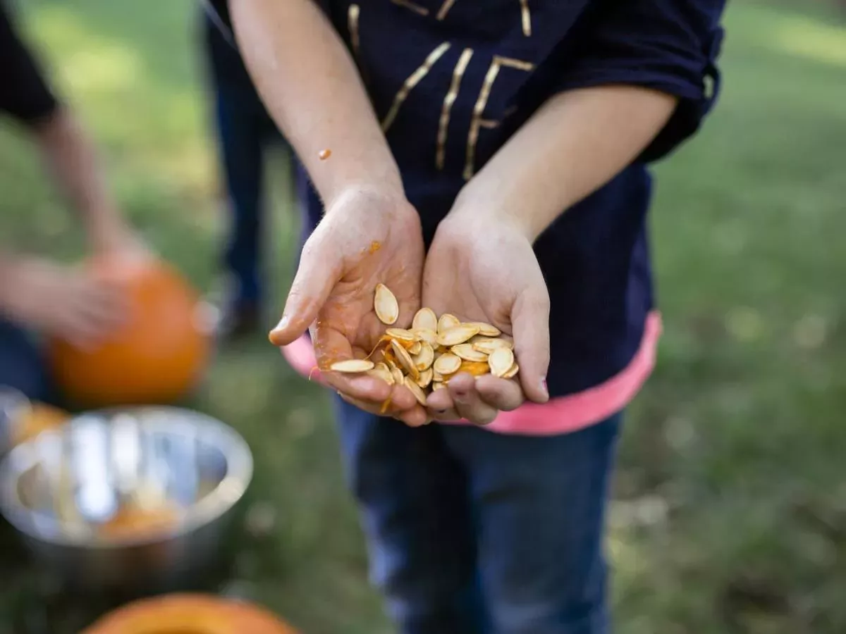 Bučni proteini - zdrave beljakovine