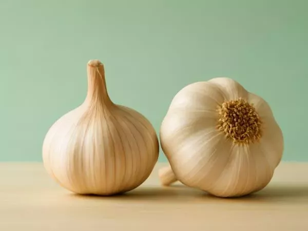 Kako s česnom zdraviti vnetja ušes?