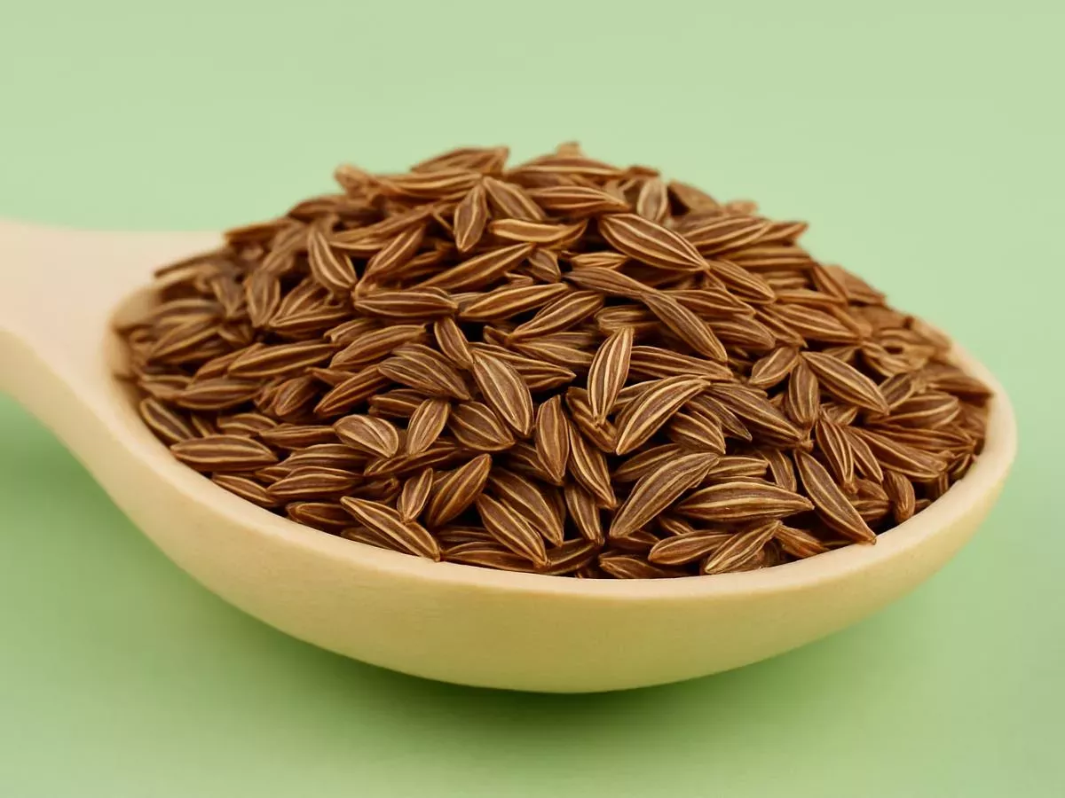 Zakaj bi morali debeli ljudje na dan pojesti 3 grame kumine