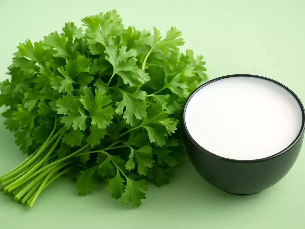 3 hitri recepti s kefirjem za zdravje in hujšanje