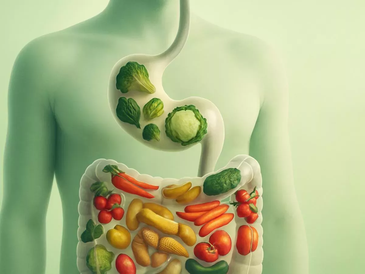 Vsak organ ima svojo najljubšo hrano