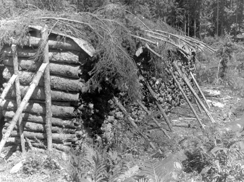50-ta leta
Skladovnica lubja