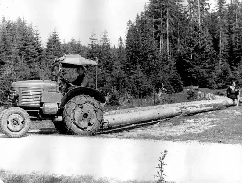 60-ta leta
Uvajanje traktorjev za spravilo lesa