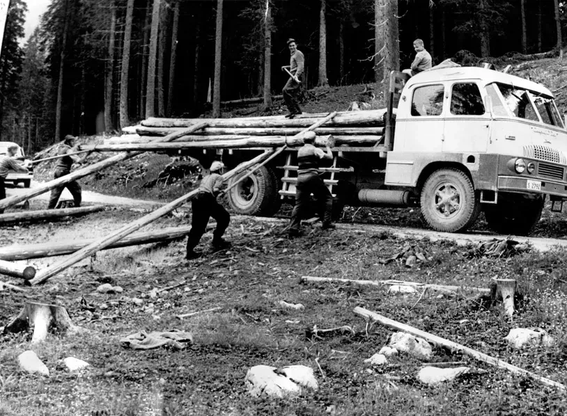 50-ta leta
Ročno nakladanje lesa na kamion