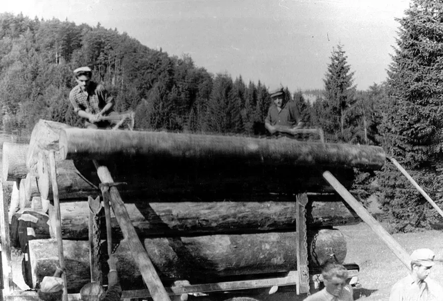 50-ta leta
Ročno nakladanje lesa na kamion