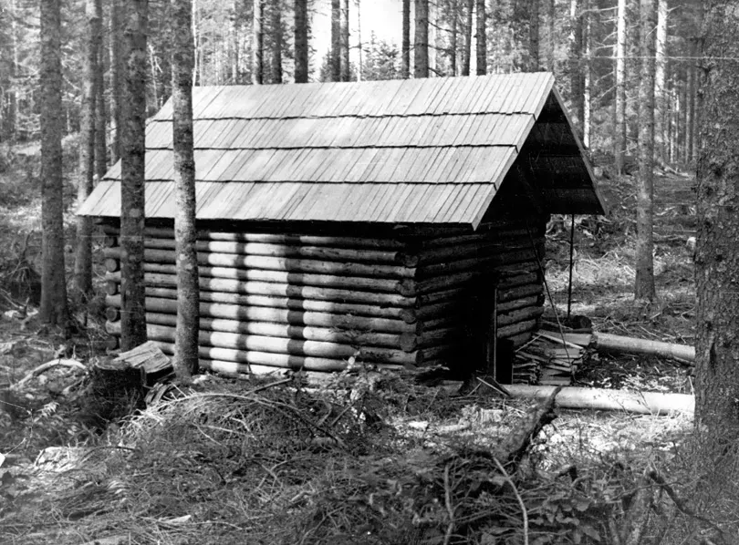 50-ta leta
Bivališče gozdnih delavcev