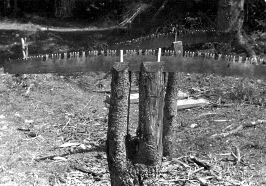 50-ta leta
Žaga "amerikanka", ki jo je za delo treba pripraviti