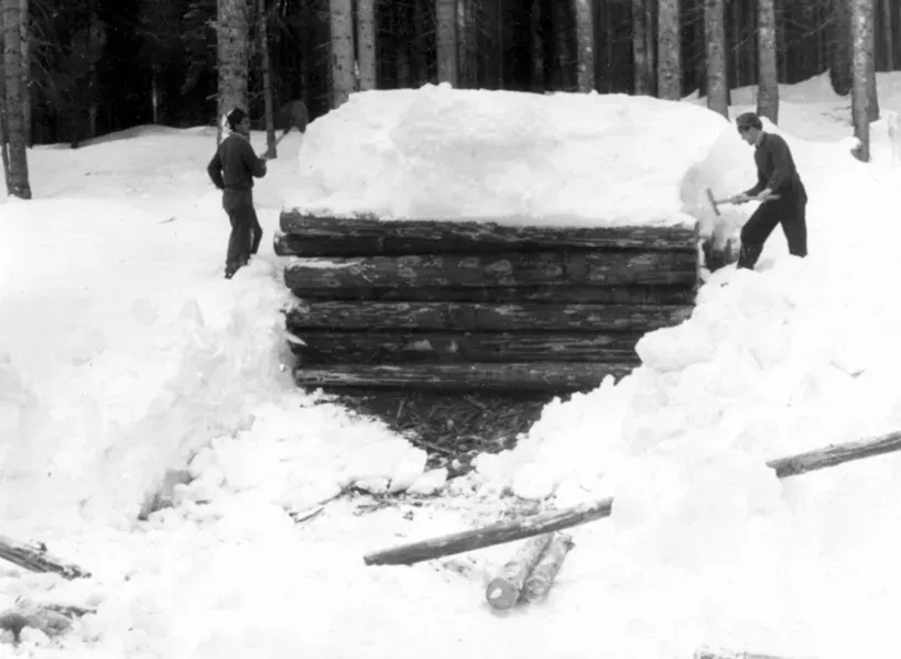 50-ta leta
Les, skladiščen v "zimske kupe"