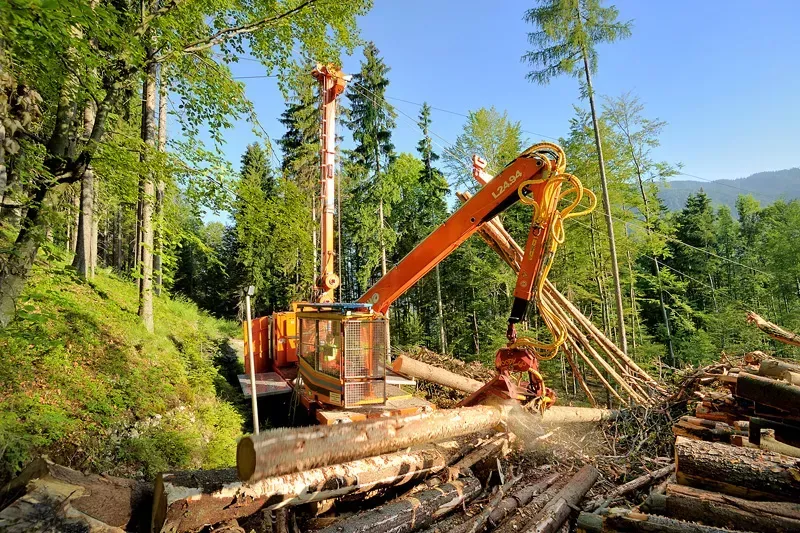 GG Bled - sečnja lesa: žičnica v obratovanju