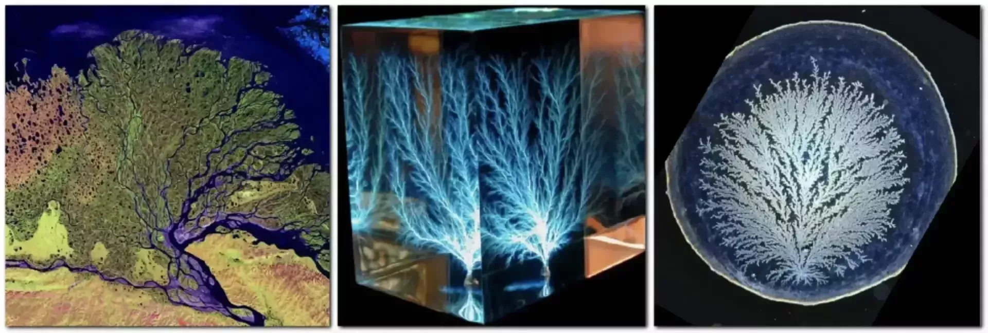 Vse življenje je električno