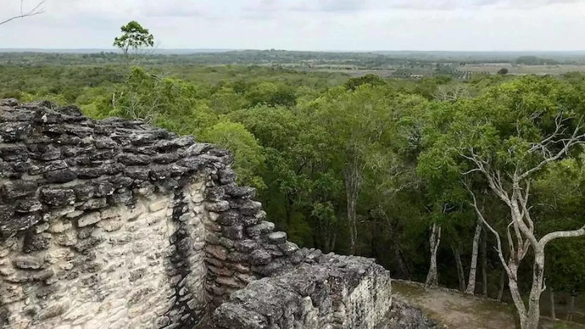 Nova odkritja majevskih mest