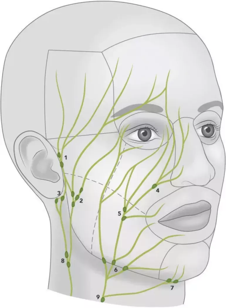 MED RESNIČNOSTJO IN DOMIŠLJIJO - Plažna masaža