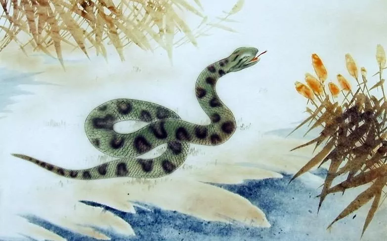 LETNI KITAJSKI HOROSKOP - Leto kače 2025