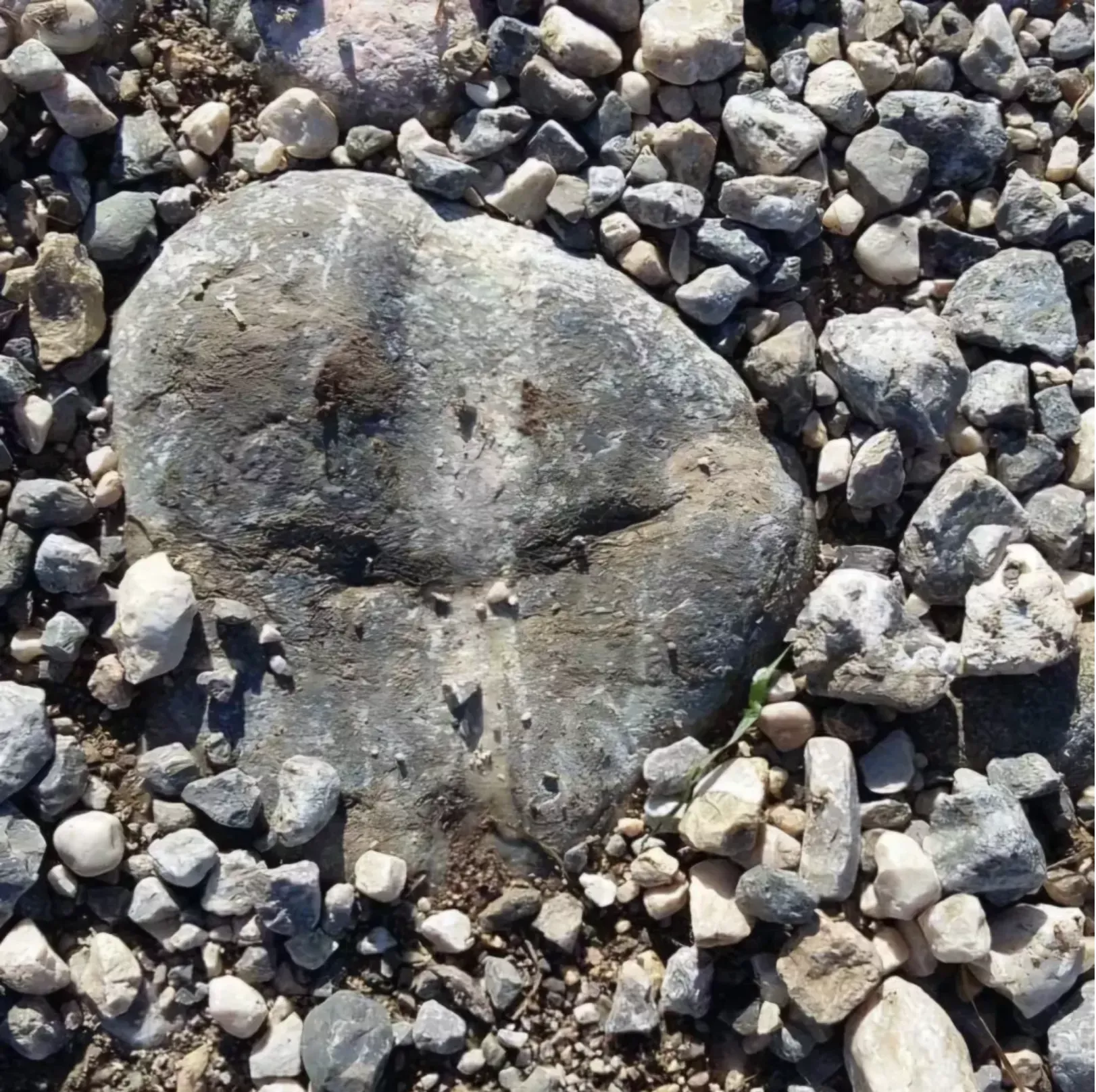 IGRA NARAVE - Okameneli vesoljček