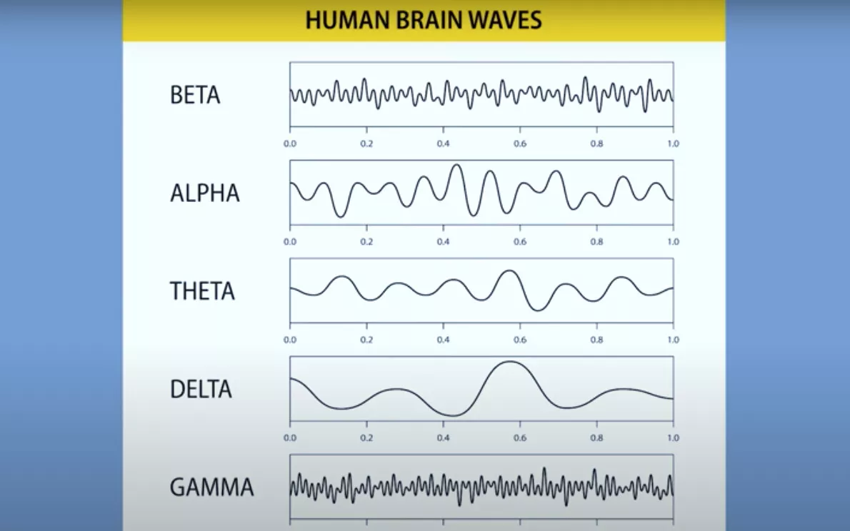 Možgani ob smrti – film celega življenja?