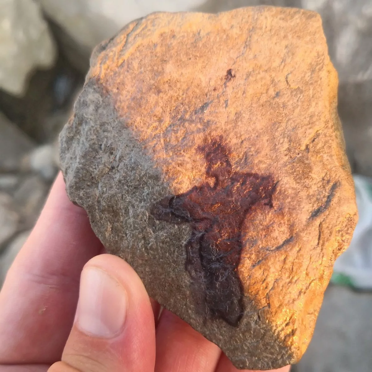 IGRA NARAVE - Zanimiv kamen