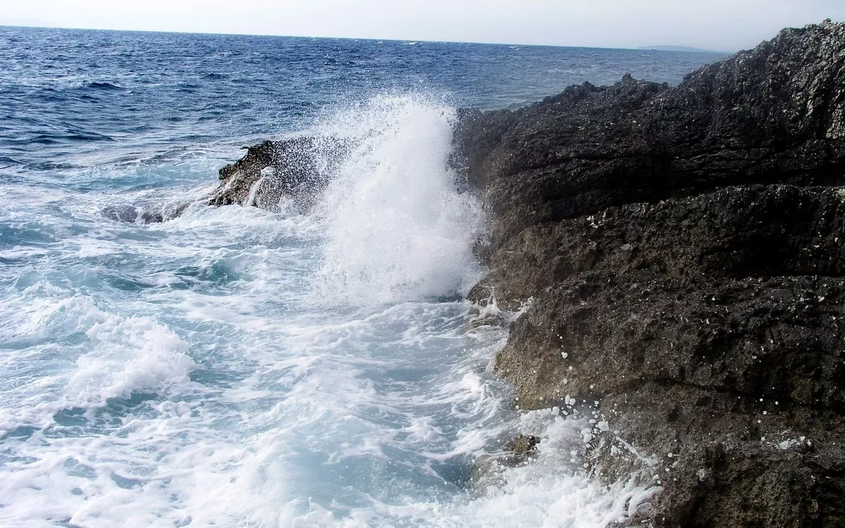 Ionski minerali gredo v celice
