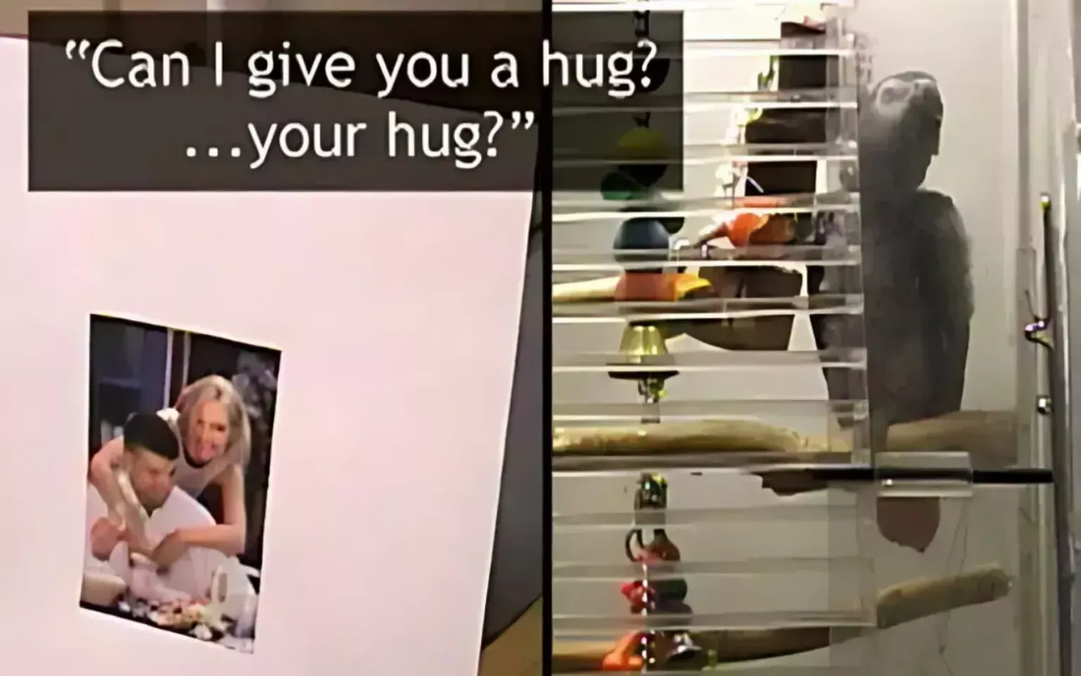 Telepatija pri živalih