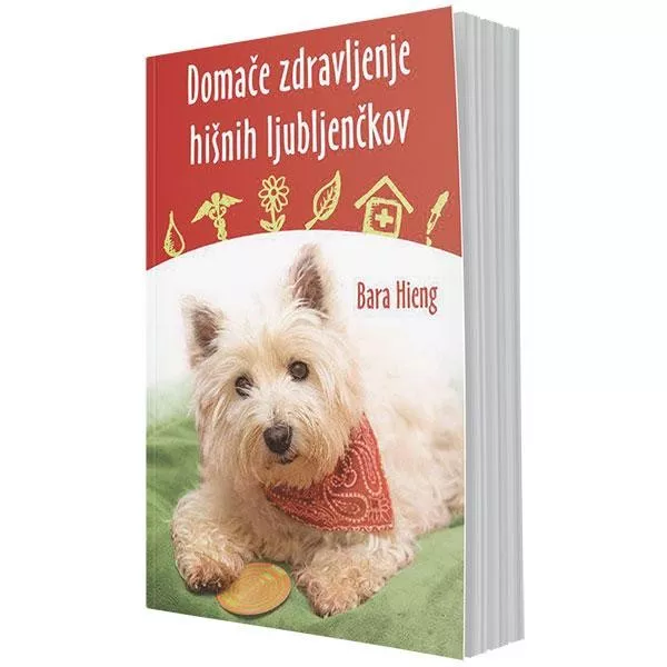Domače zdravljenje hišnih ljubljenčkov