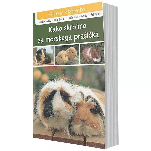 Kako skrbimo za morskega prašička