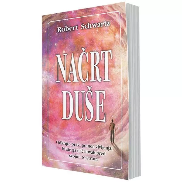  Načrt duše (odkrijte pravi pomen življenja, ki ste ga načrtovali pred svojim rojstvom)