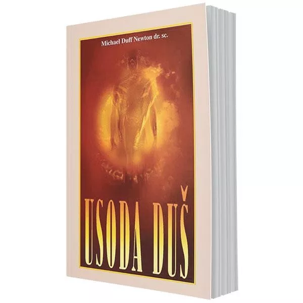 Usoda duš (nova poročila o življenju med življenji)