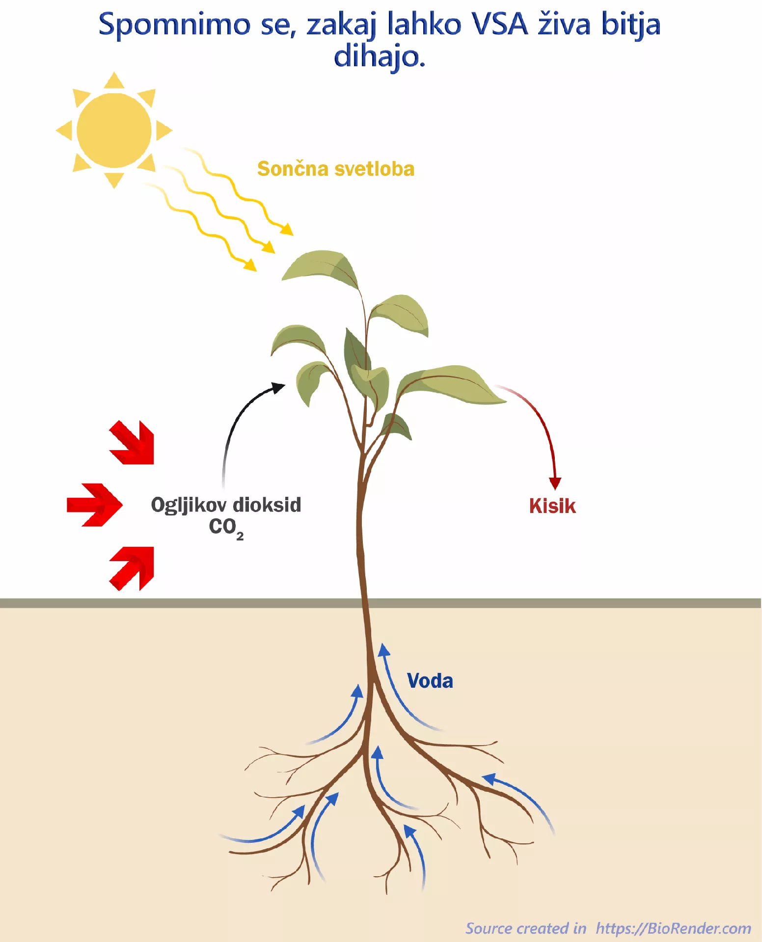 IN, KVA ZDEJ - KAKŠEN RAZLOG BO SEDAJ (NAJDEN) ZA "NET ZERO" AVTOMOBILE TER DAVEK NA OGLJIČNI ODTIS (CARBON FOOTPTINT)?