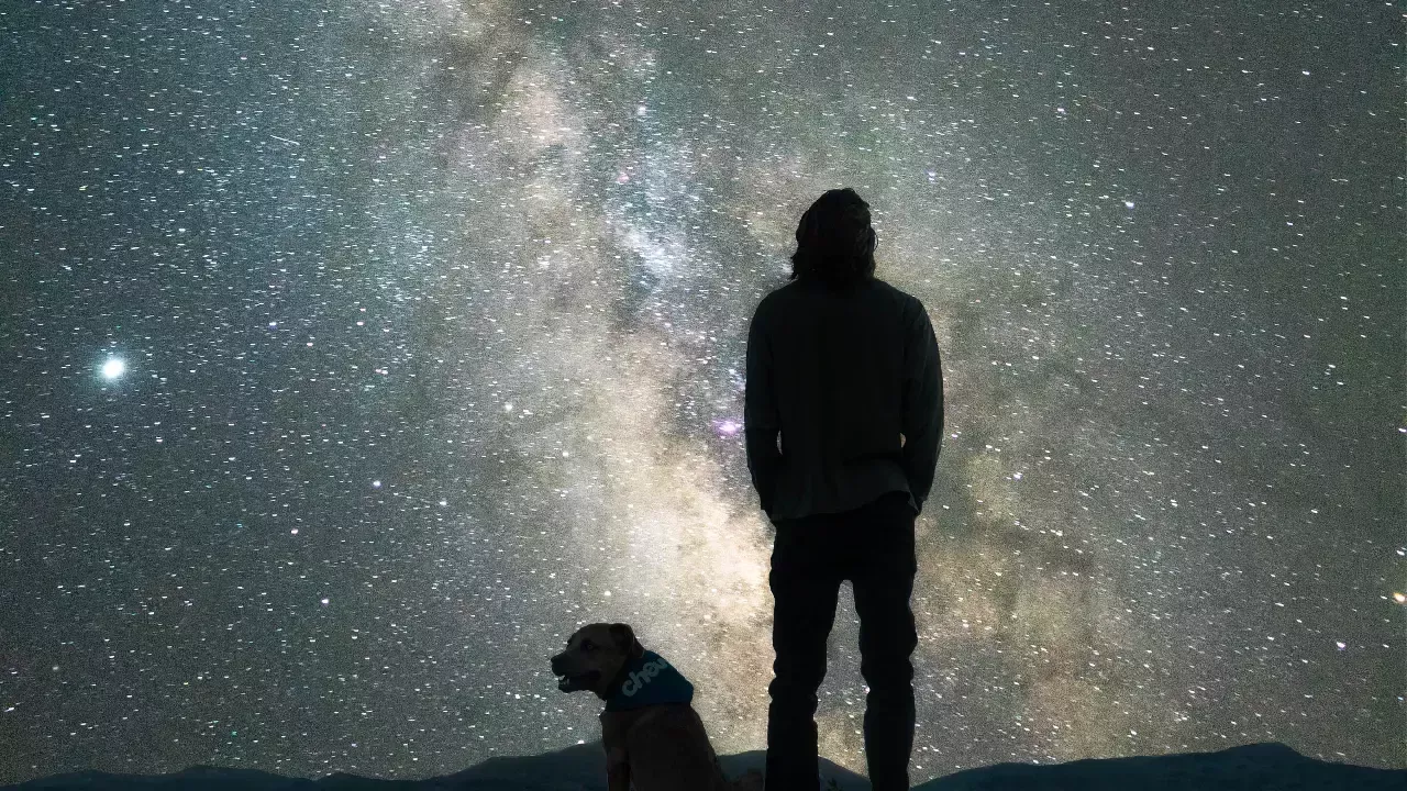 Borut Slokan: Šef in Bojan - tretja pripoved